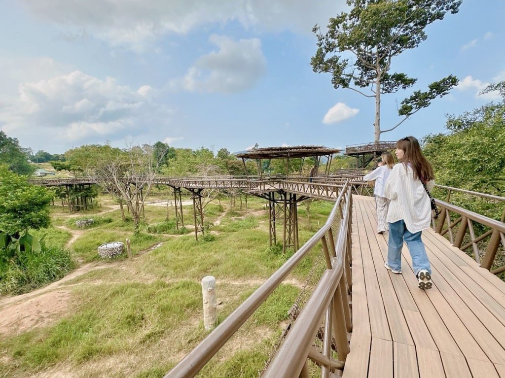 蘇梅島熱門景點 - 近距離與大象互動