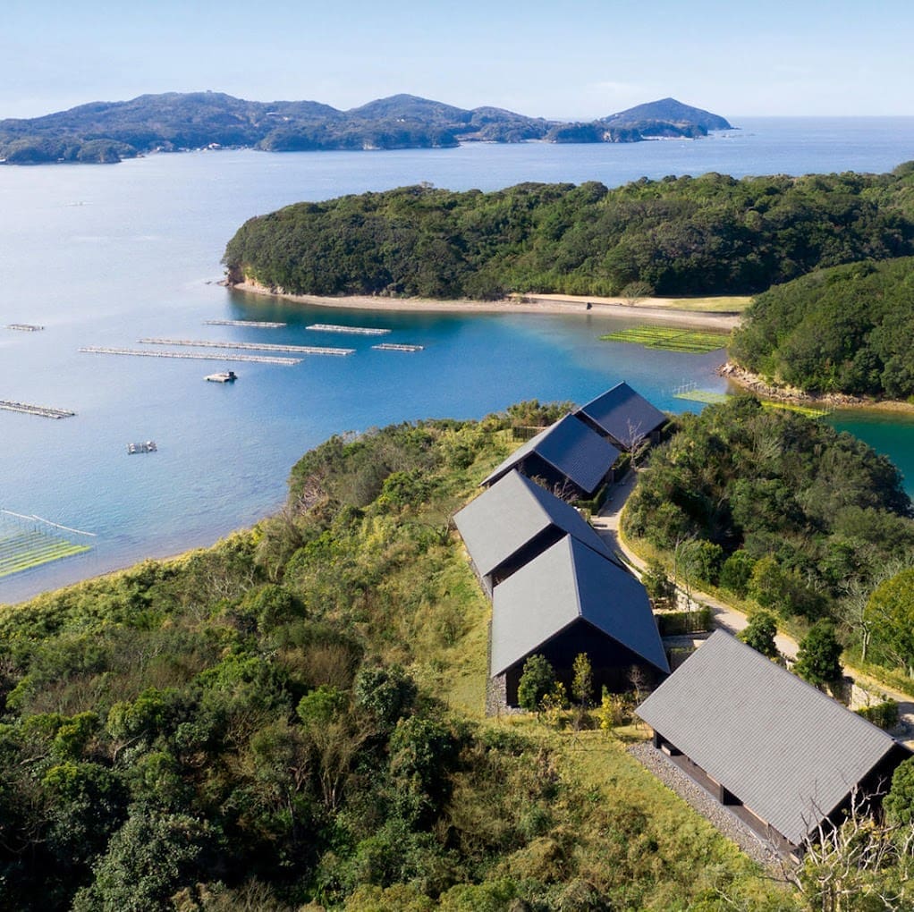 松阪牛