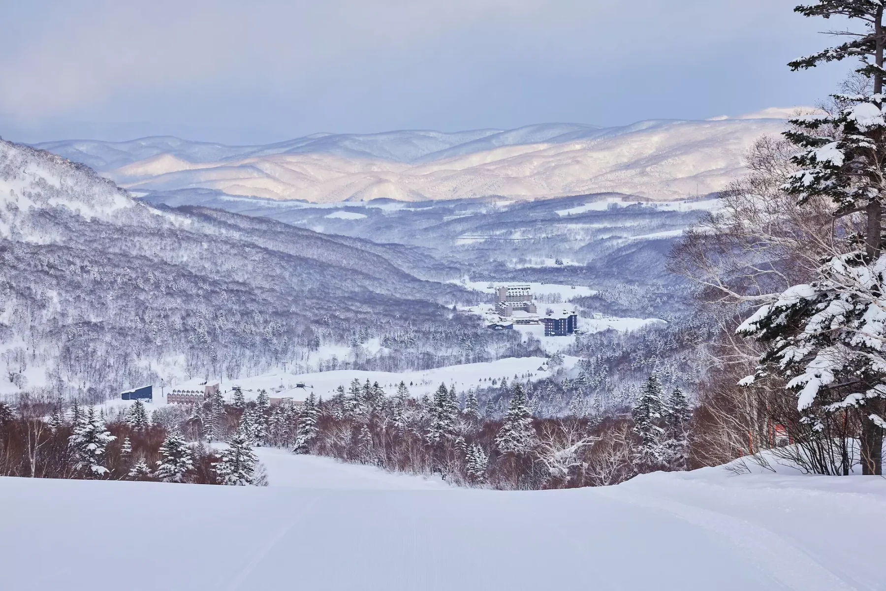Kiroro Peak 粉雪雪場