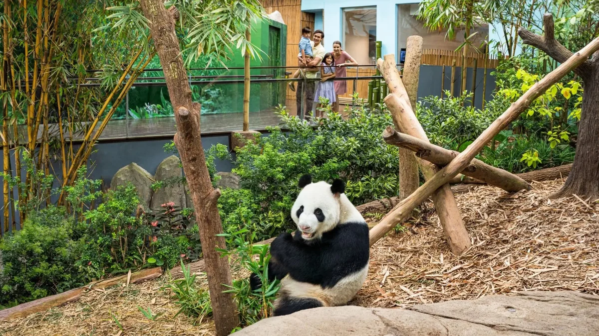 萬態野生動物保護區