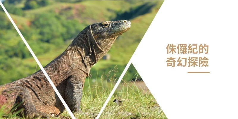 探索史前巨獸 ‧ 科摩多龍