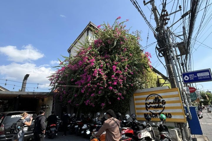 峇里島長谷 Milk & Madu Beach Road 實訪|Canggu 海灘路人氣早午餐咖啡廳