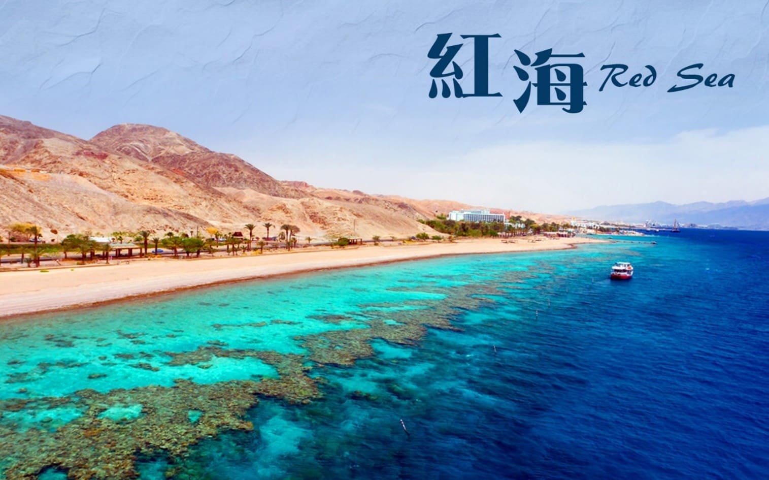 黑白沙漠