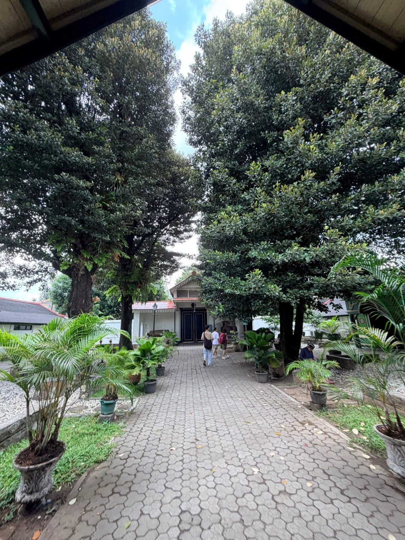 日惹皇宮兩側大樹夾道的六角石板步道