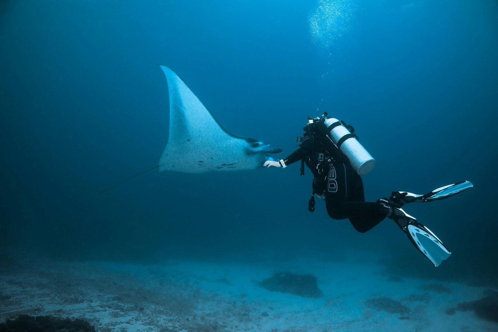 MĀUA Nusa Penida 浮潛與海洋探索