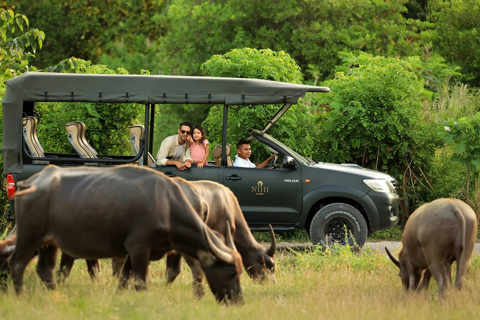 NIHI Sumba 開放式 safari 車島嶼接送與探索
