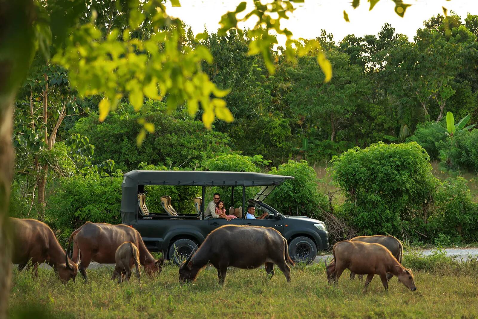 NIHI Sumba 開放式 safari 車與島嶼生態