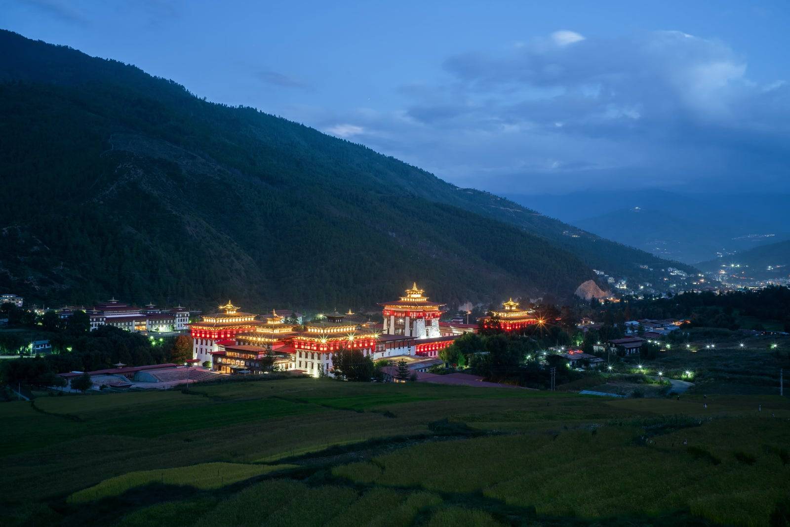 廷布宗堡與山谷夜景