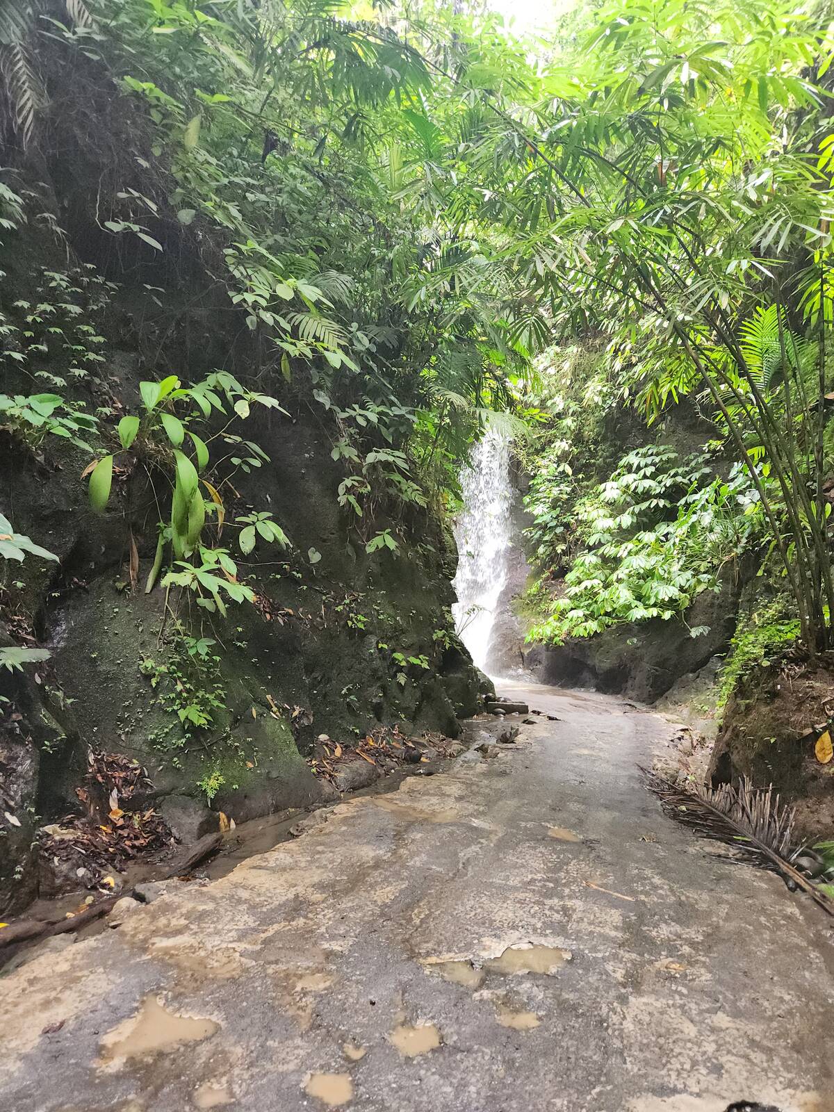 Kuber Bali Adventure 天然峽谷盡頭被熱帶植物包圍的瀑布