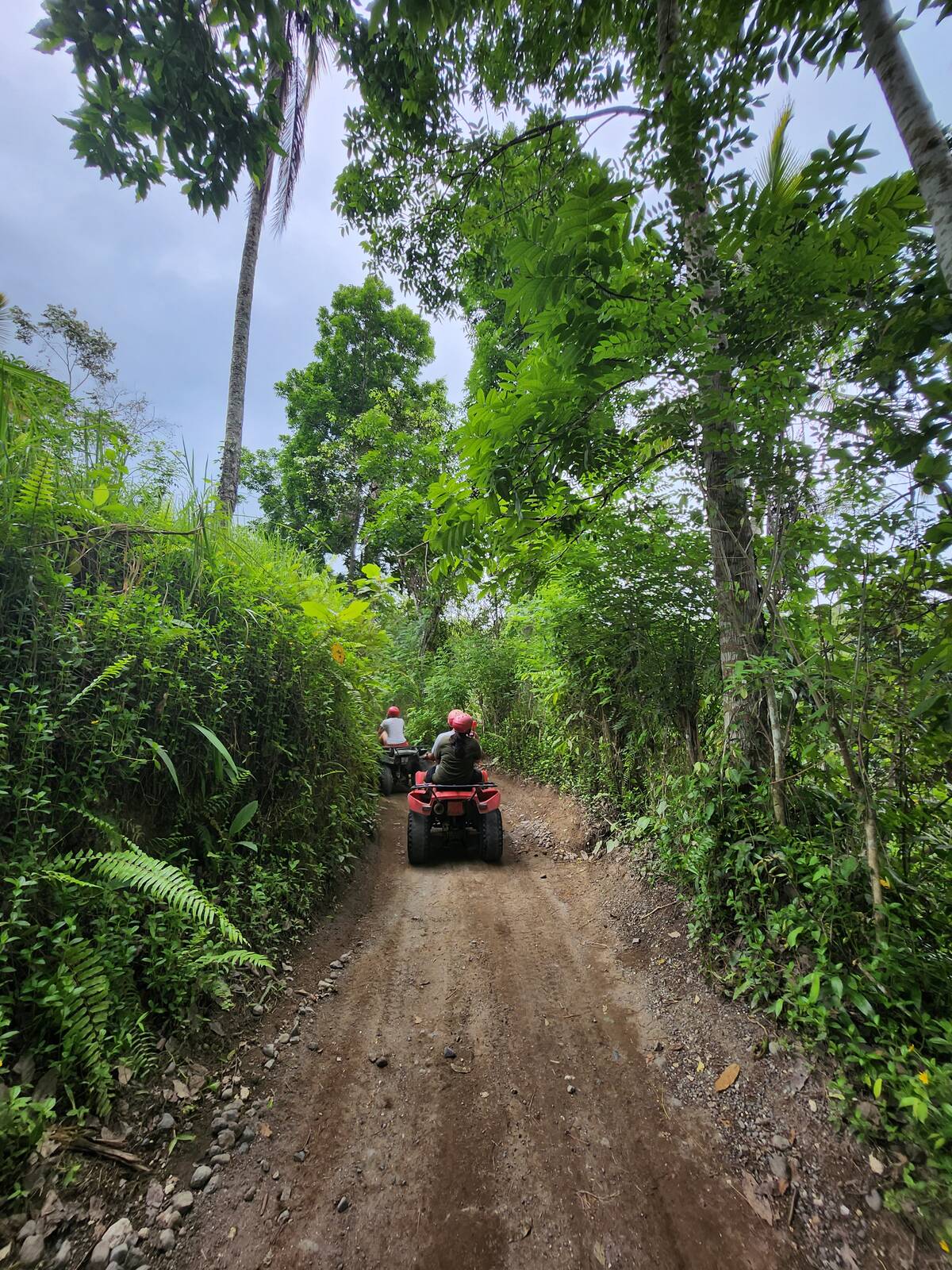 ATV 車隊進入兩旁高聳熱帶植物包圍的叢林土路