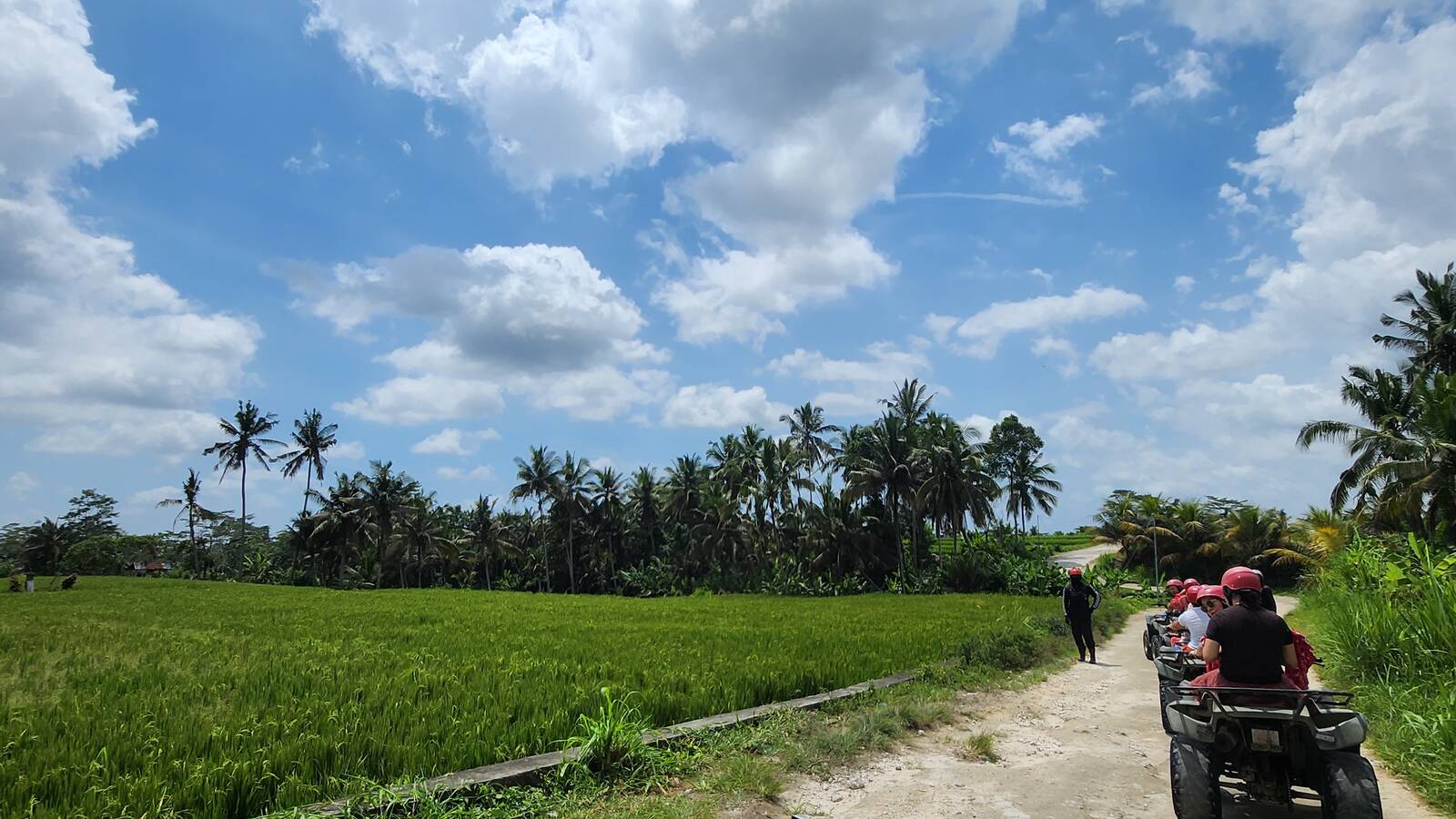 Kuber Bali Adventure ATV 車隊沿著烏布稻田旁的土路前進
