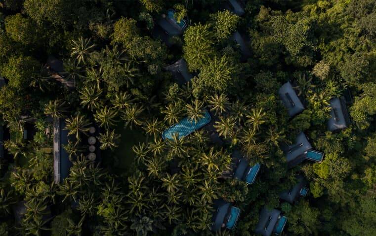 峇里島烏布嘉佩樂酒店入口與森林景觀