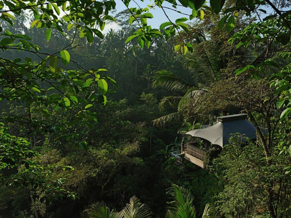 峇里島烏布嘉佩樂酒店 Valley Tent 私人泳池與森林景觀