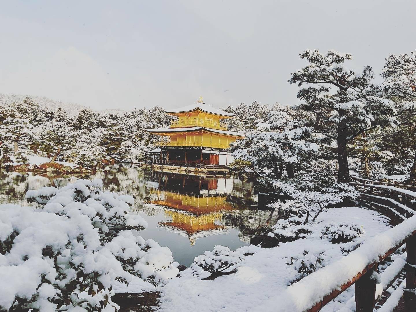 金閣寺
