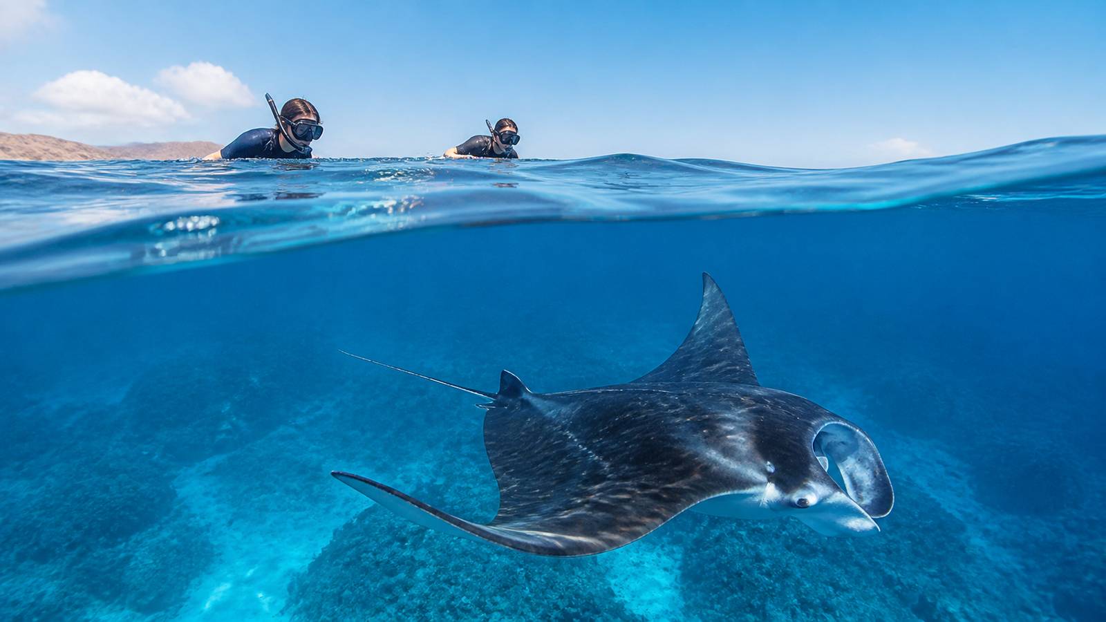科摩多 Manta Point 蝠魟浮潛 AI 旅遊示意圖