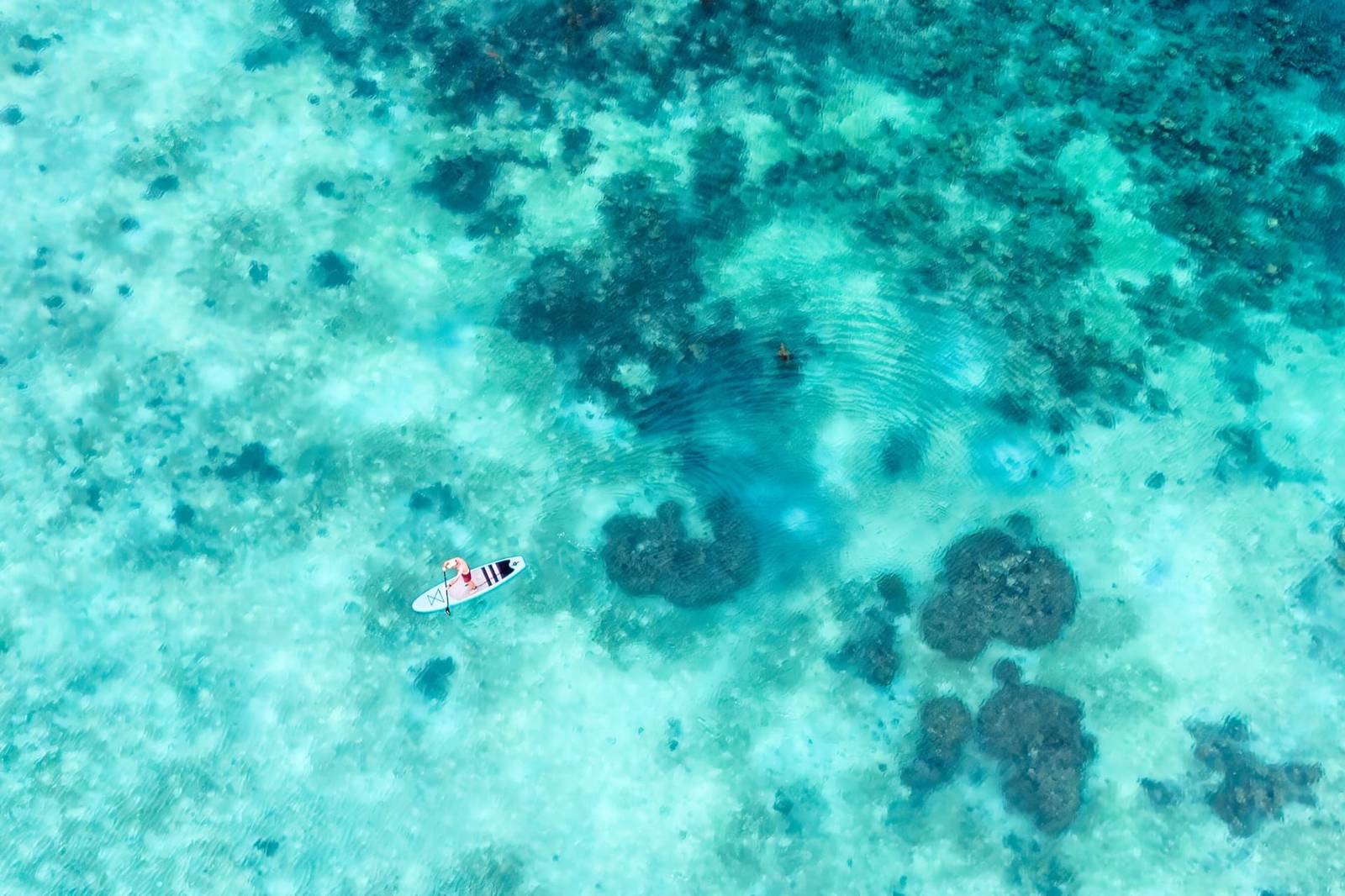 Menjaga Bay 俯瞰清澈淺海一人站在白色立式划槳板上，水下可見礁紋
