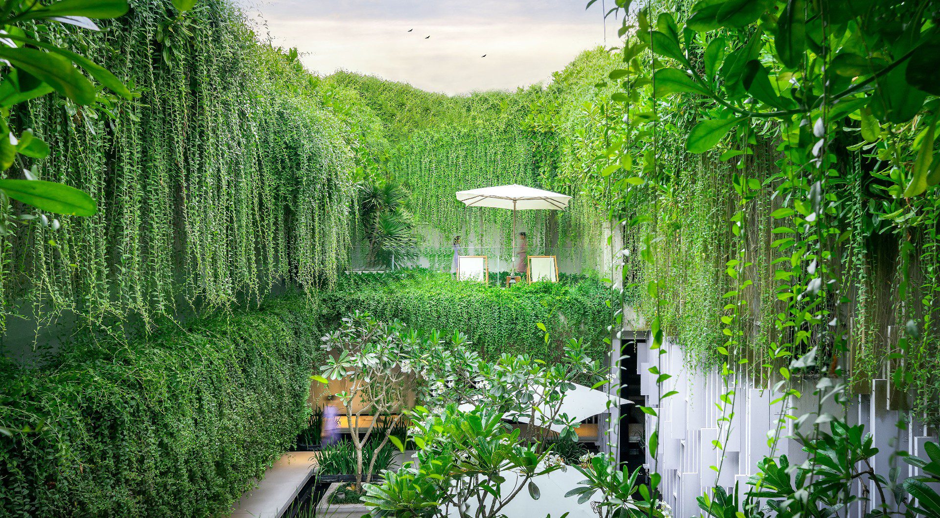 垂掛植栽構成的水療空間