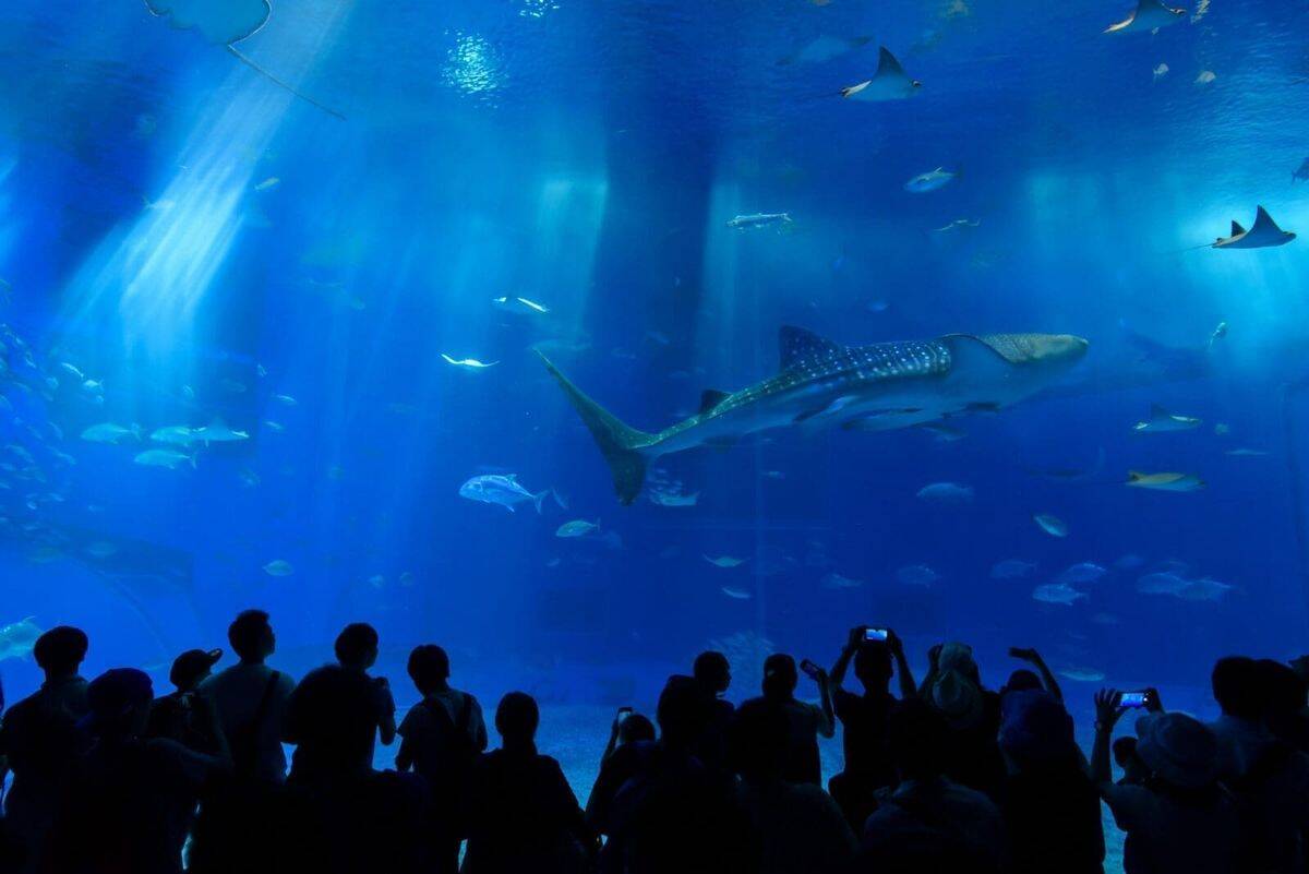 美麗海水族館