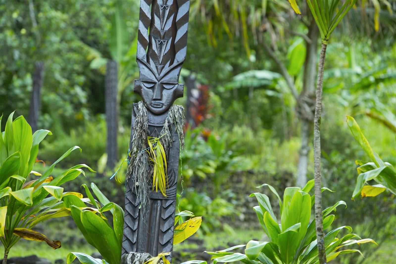 大溪地珍珠海灘度假村園區的木雕 tiki 與熱帶植栽