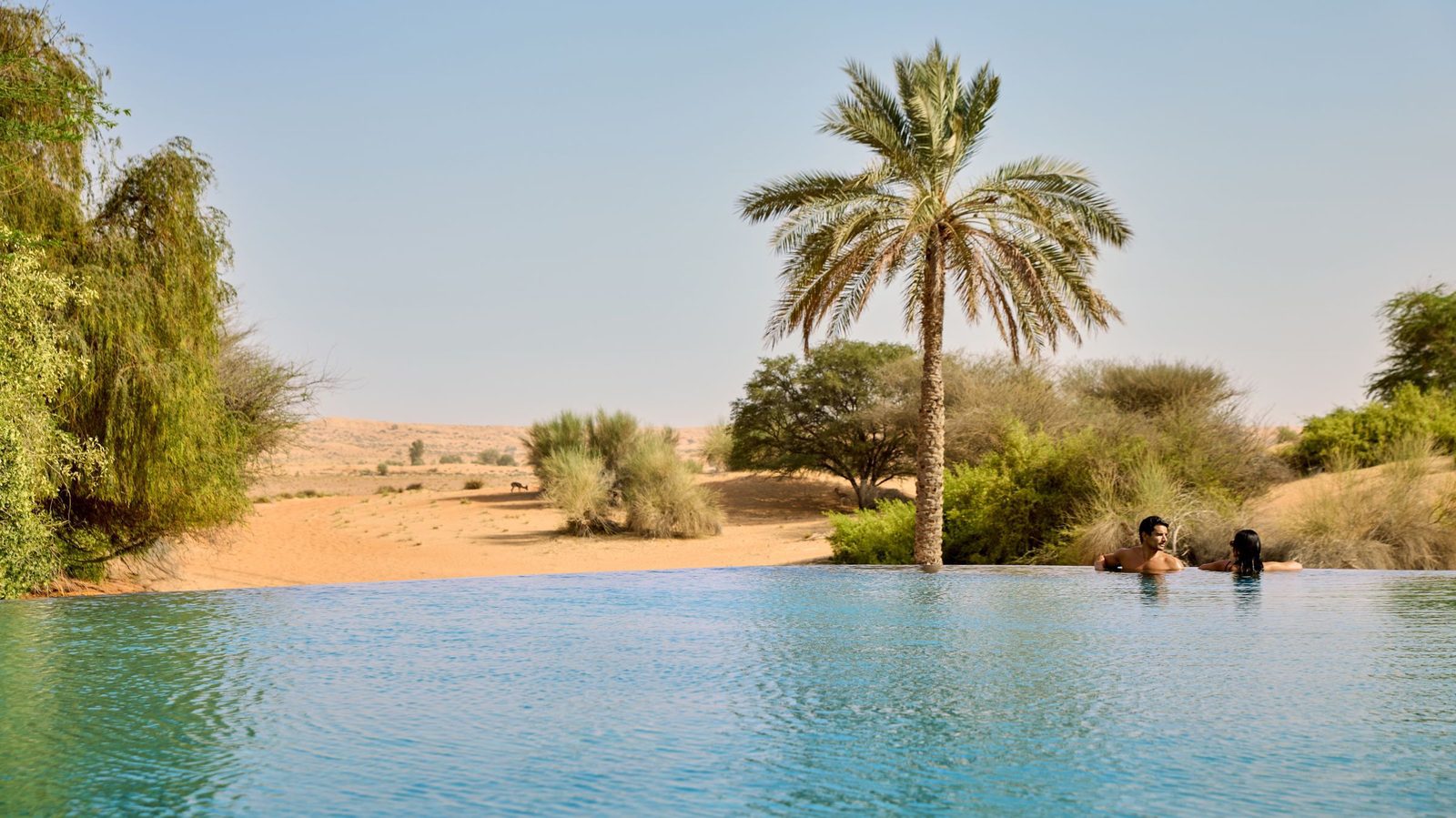 Al Maha Spa 主泳池與沙漠綠洲景觀
