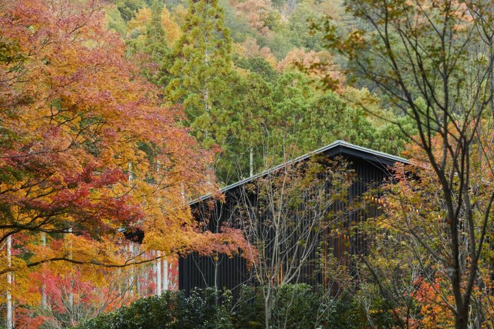 京都安縵
