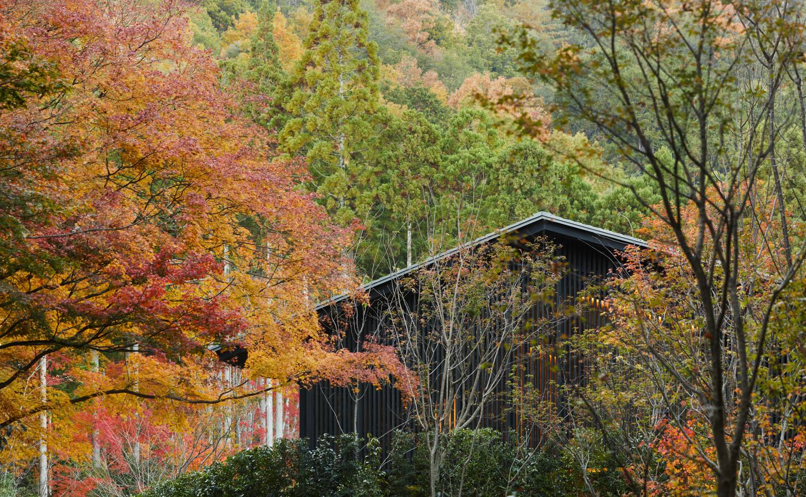 秋天楓紅之間的京都安縵建築屋頂