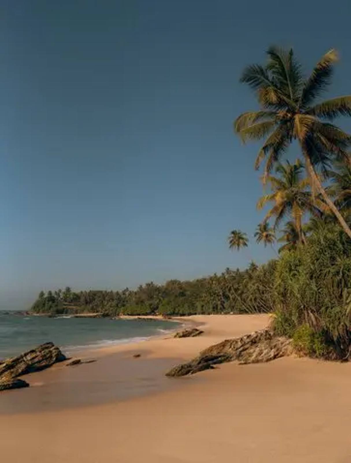 安縵維拉所在的 Silent Beach 椰林沙岸