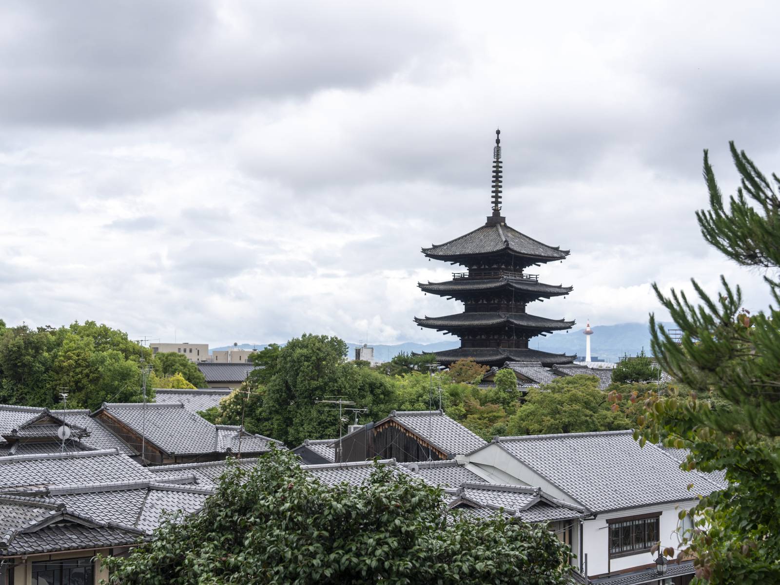 八坂塔與周圍的京都瓦屋頂