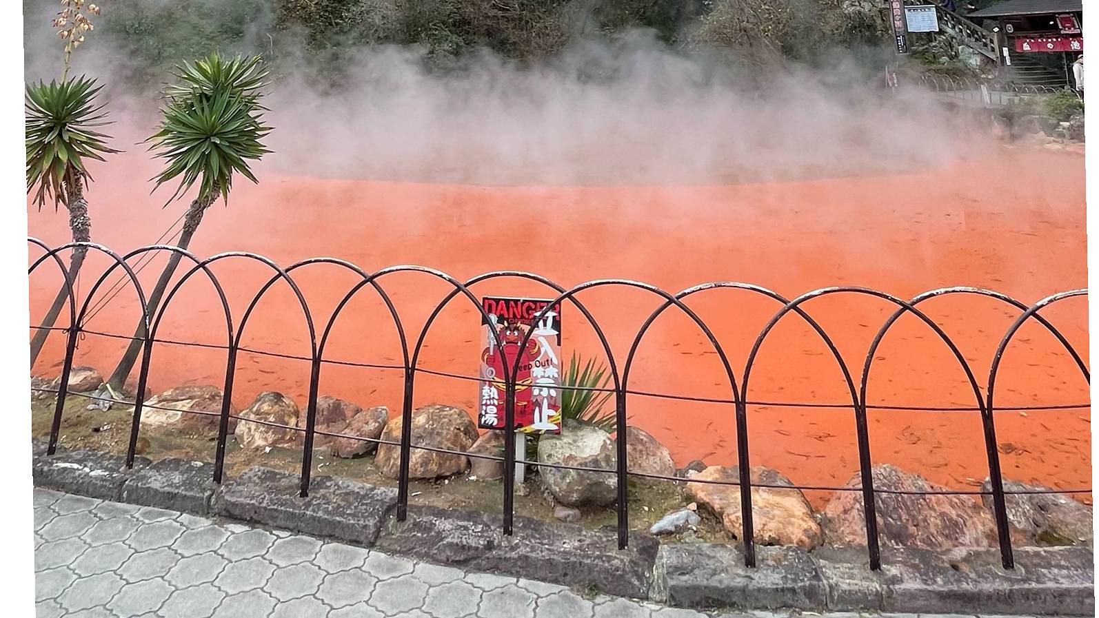 血之池地獄的朱紅泉池、白色湯煙與後方山林