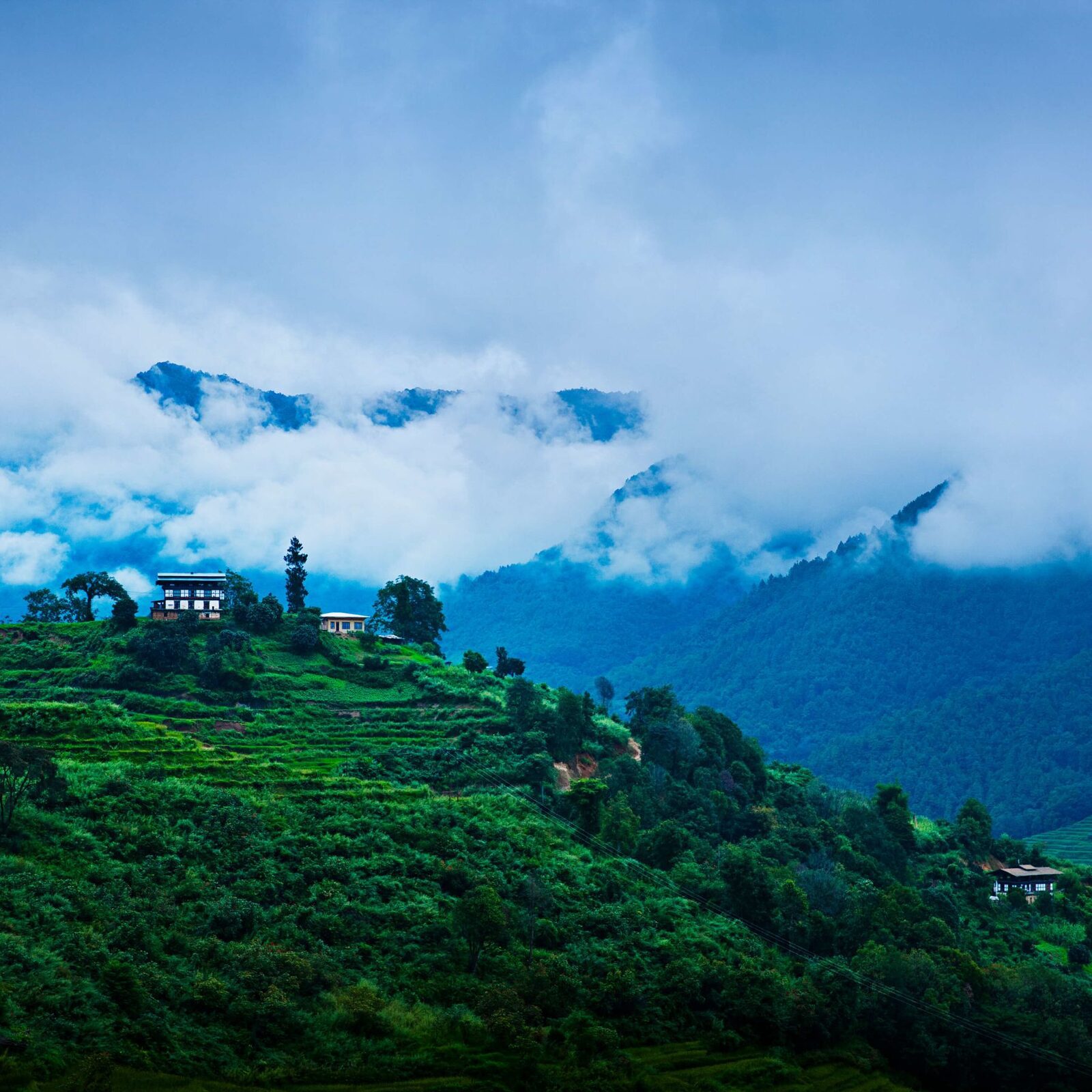 遠望不丹 COMO Uma Paro 所在的帕羅松林山坡
