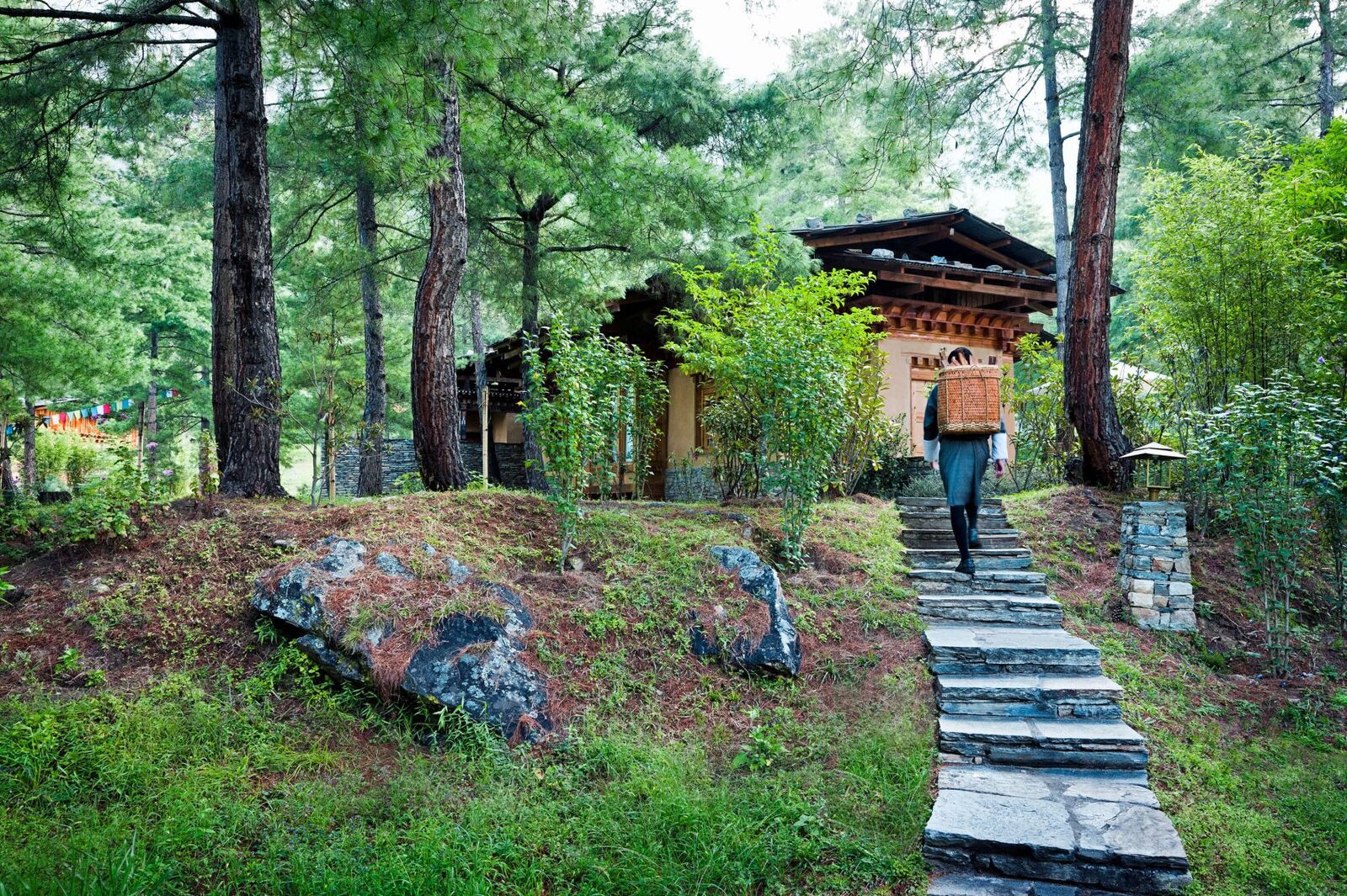 帕羅松林步道與山居