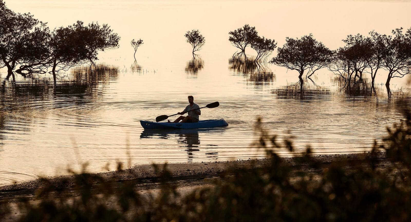 Sir Bani Yas 島紅樹林水道上的獨木舟