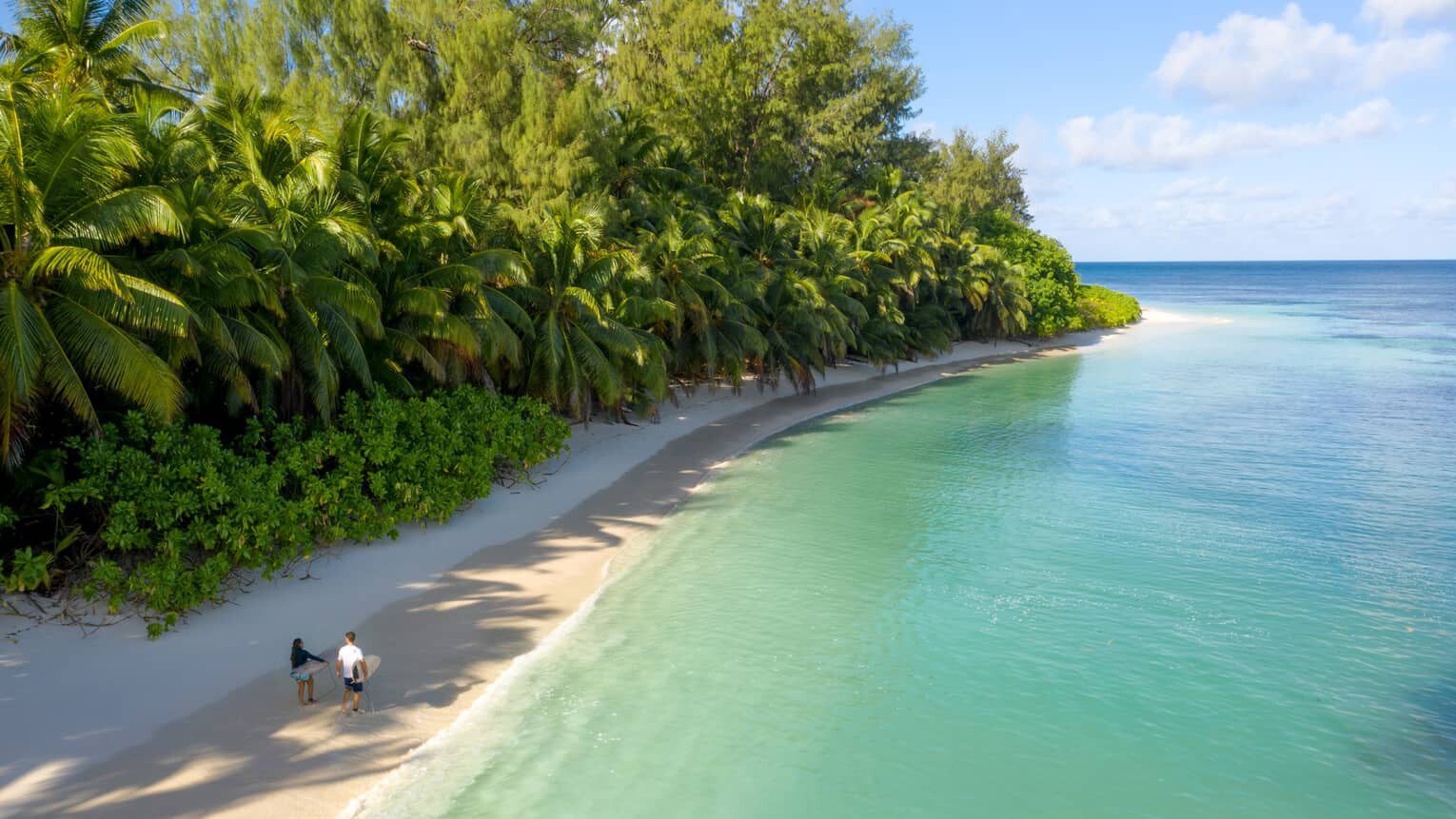 Four Seasons Desroches Island 椰林、白沙灘與清澈海水