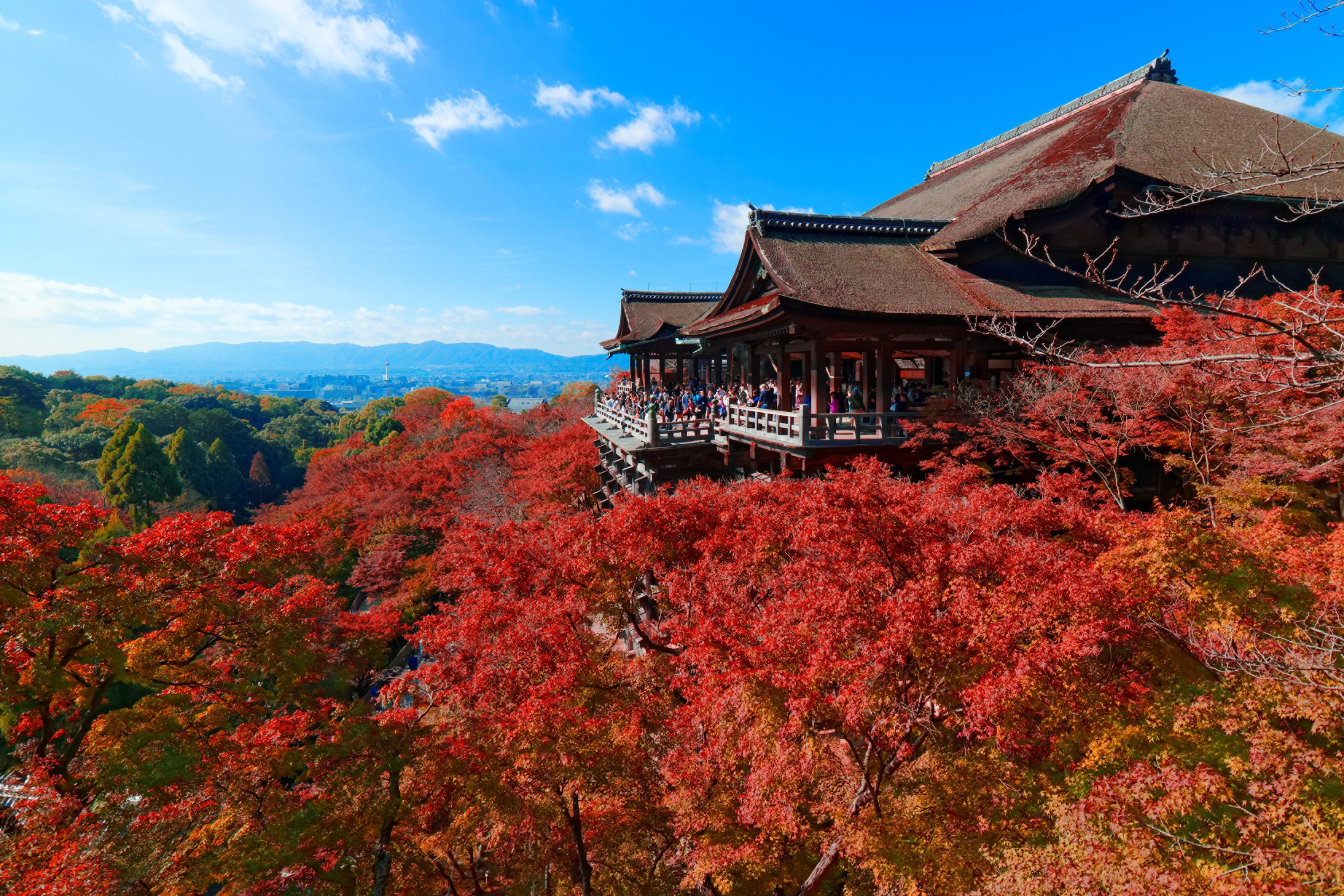京都四季酒店location 1官方實景
