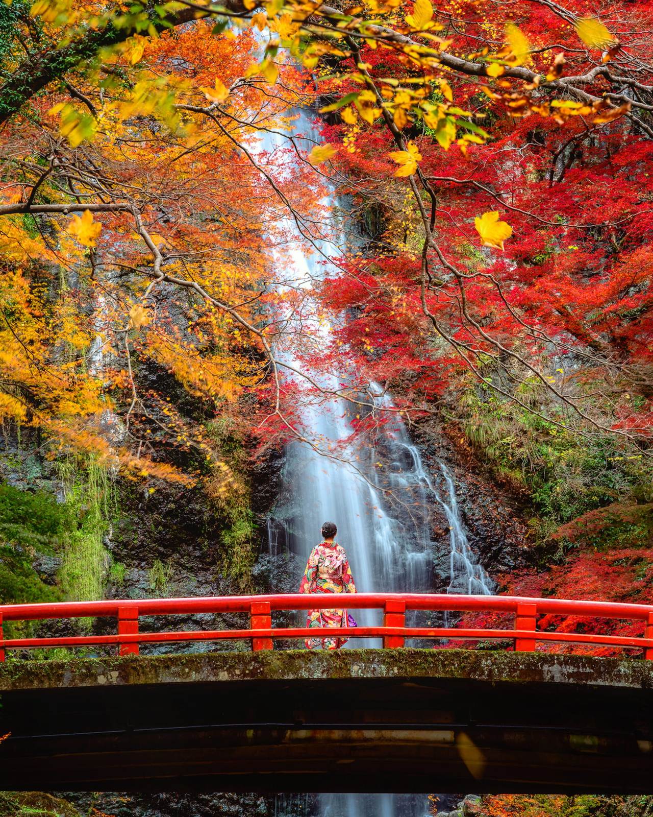 紅黃秋葉環繞瀑布與紅橋的秋日景色