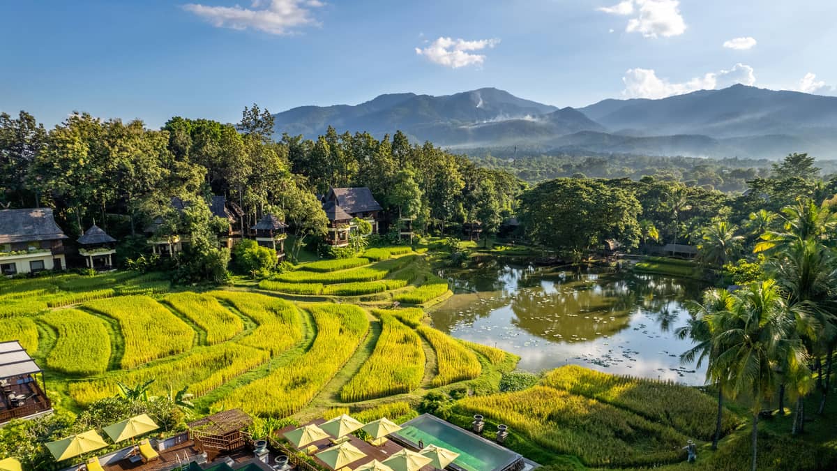 清邁四季度假村稻田與山景空拍