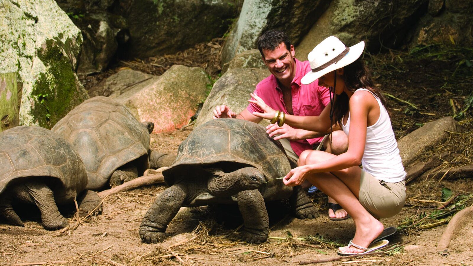 Four Seasons Resort Seychelles 自然與野生動物體驗中的象龜