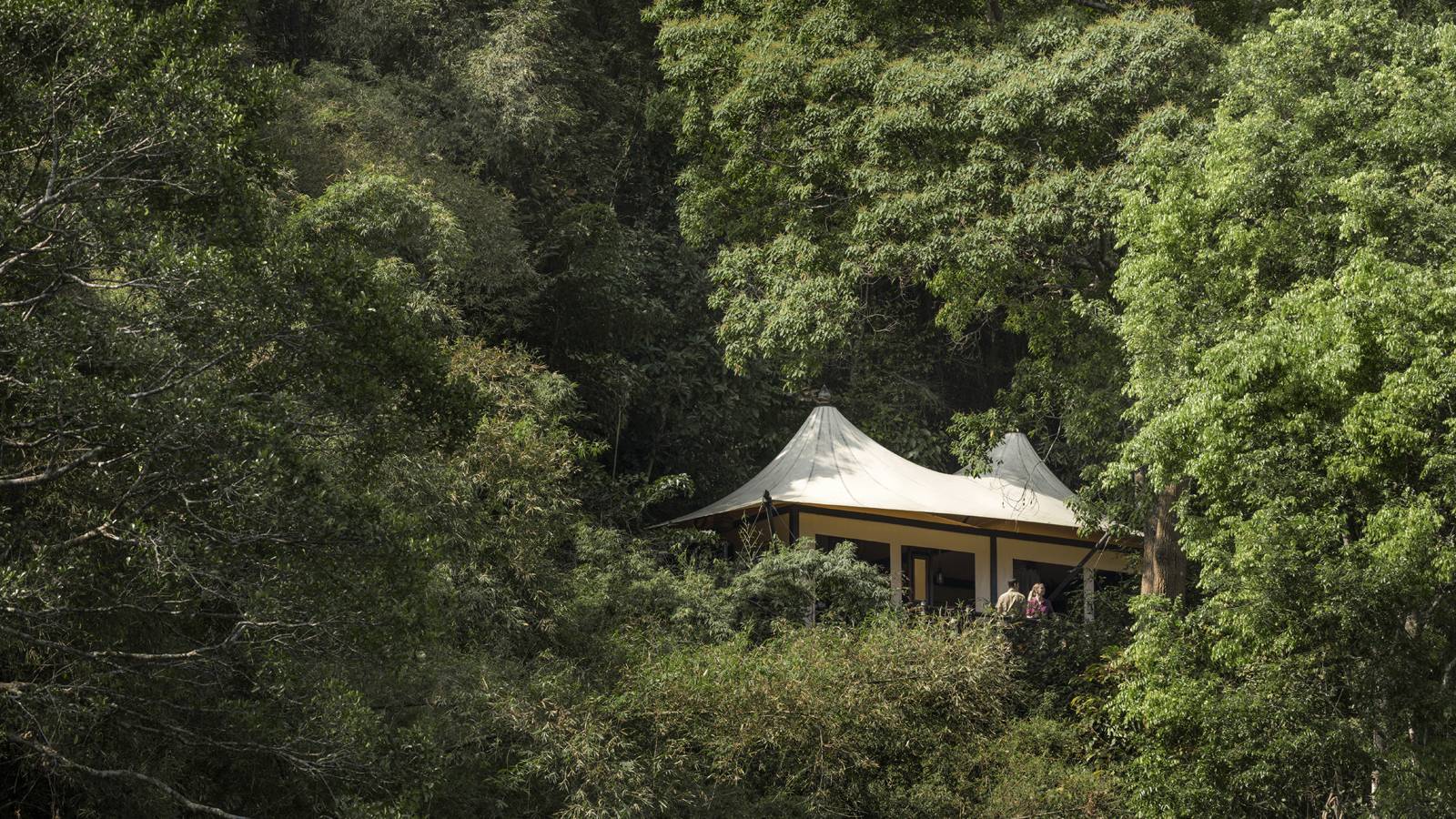 金三角四季帳篷營地的白色帳篷藏在山坡雨林中