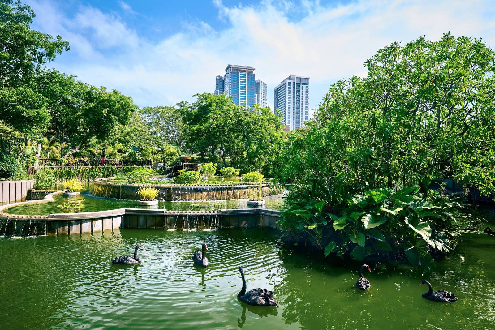 可倫坡希爾頓酒店花園水景