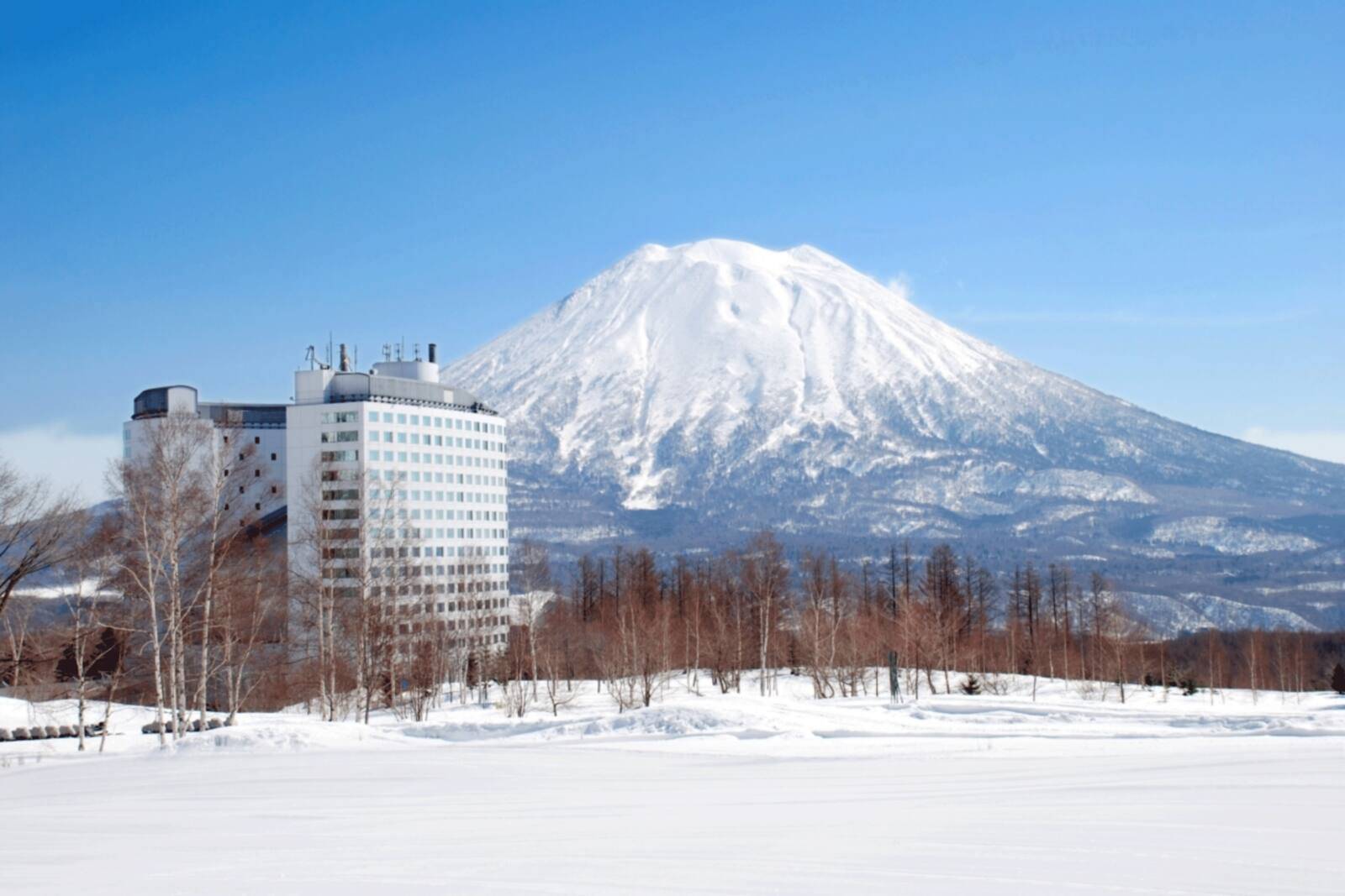 二世古村希爾頓酒店冬季外觀與羊蹄山