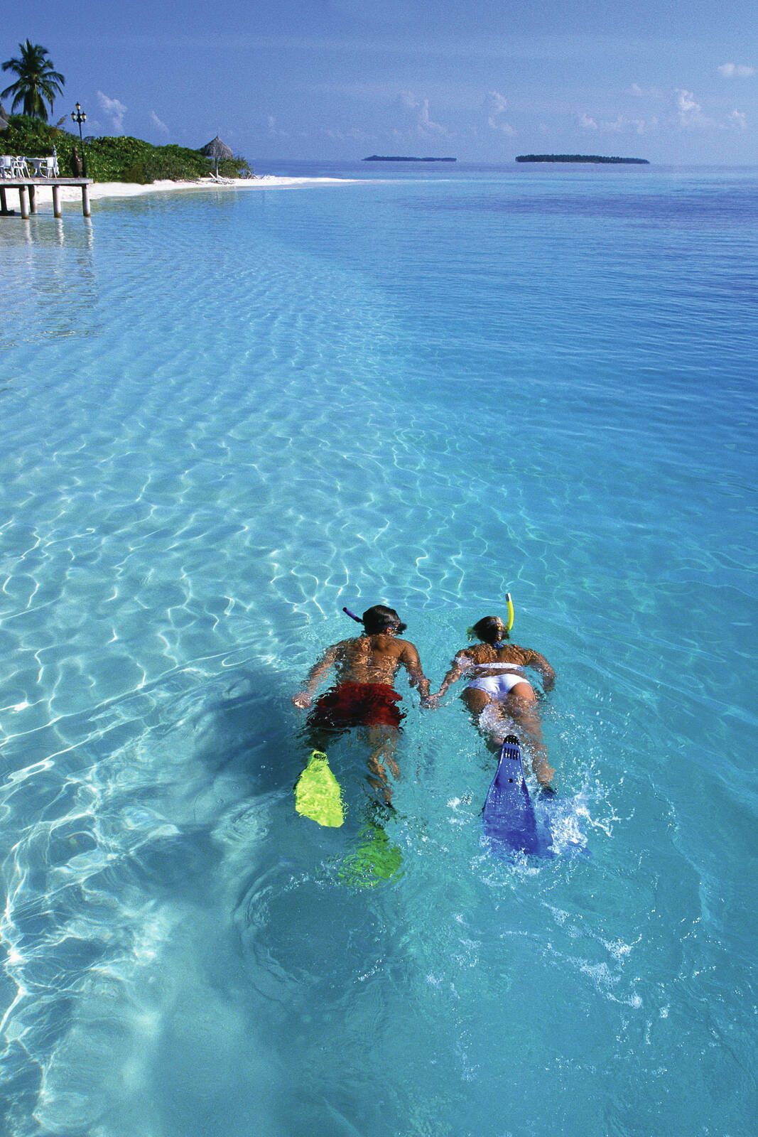 旅客在 Hilton Seychelles Northolme 海域浮潛