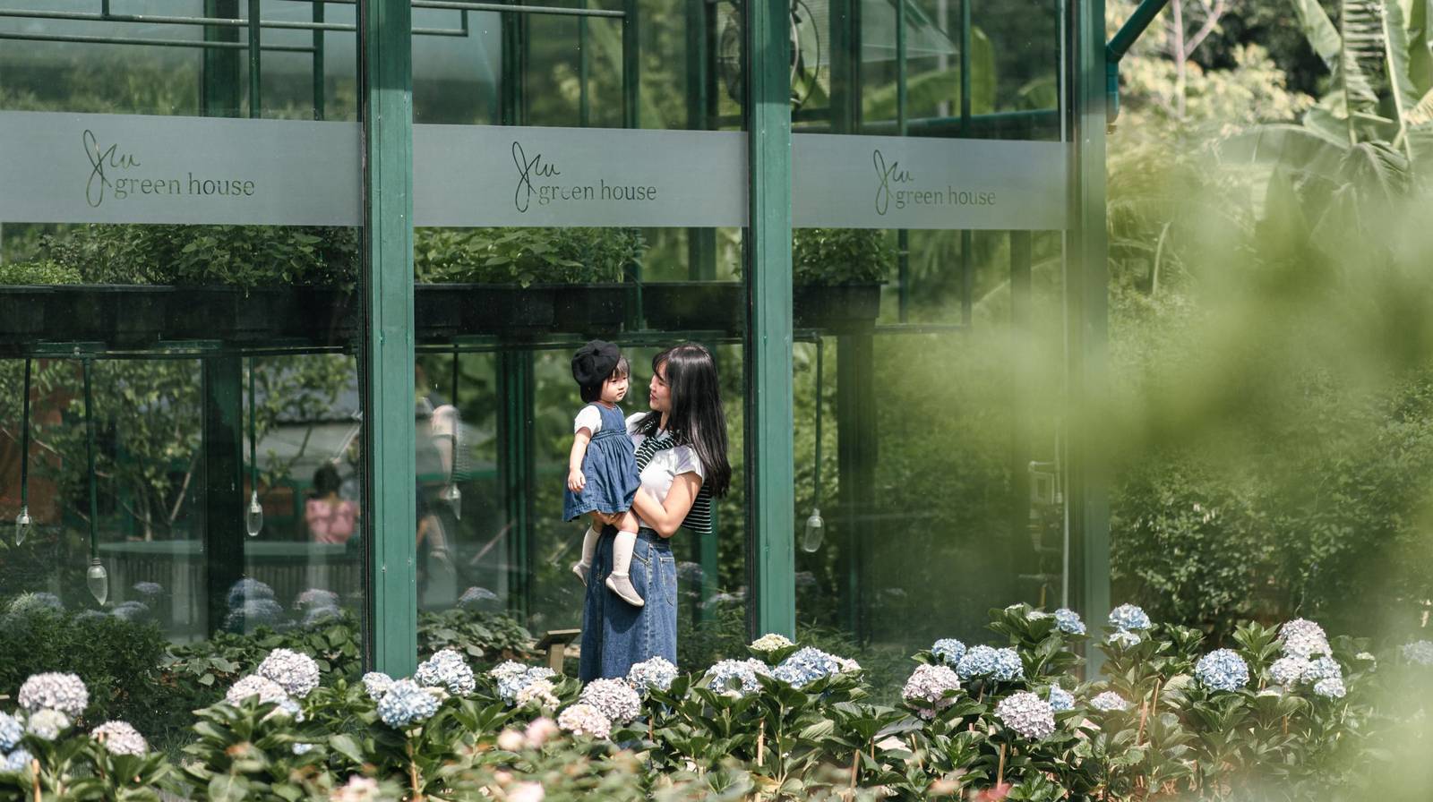 河內 JW 萬豪酒店 JW Green House 外的花園,繡球花、玻璃溫室招牌與抱著幼兒的旅客