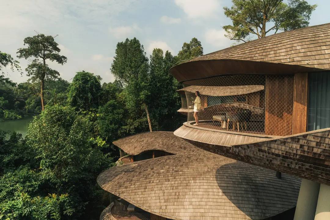 新加坡萬態雨林悅榕莊 Mandai Rainforest Treehouse 樹屋外觀