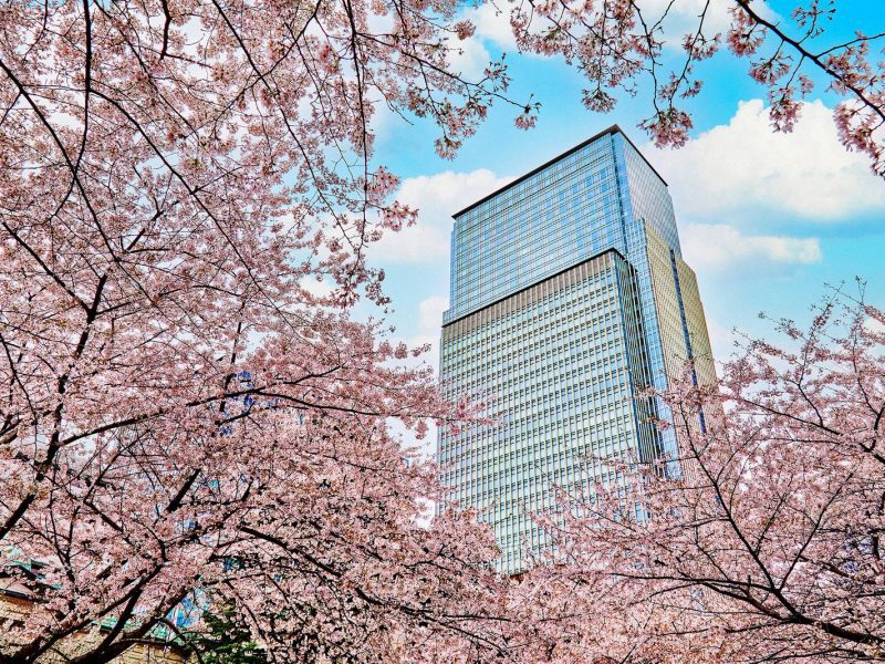 東京地圖