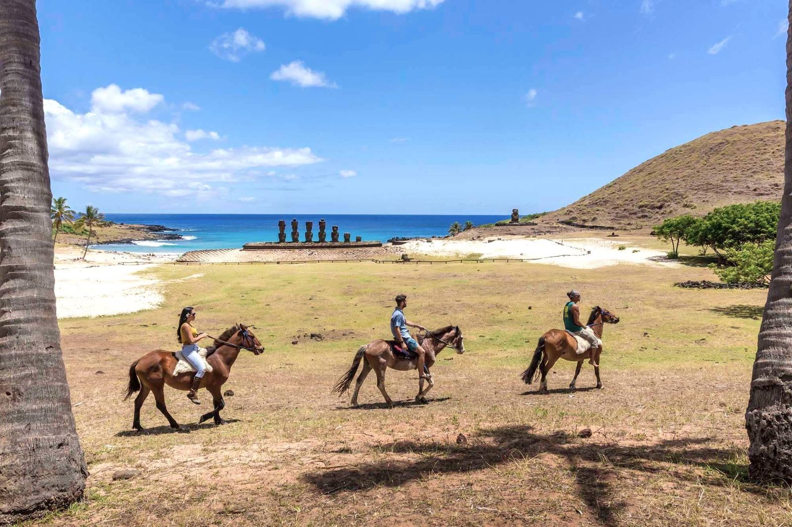 復活節島 Rano Raraku 採石場摩艾石像群實景