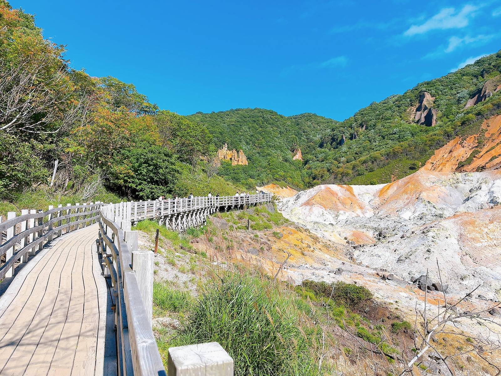 木棧道沿著登別地獄谷延伸，一側是樹林，一側是灰白與橙色坡地