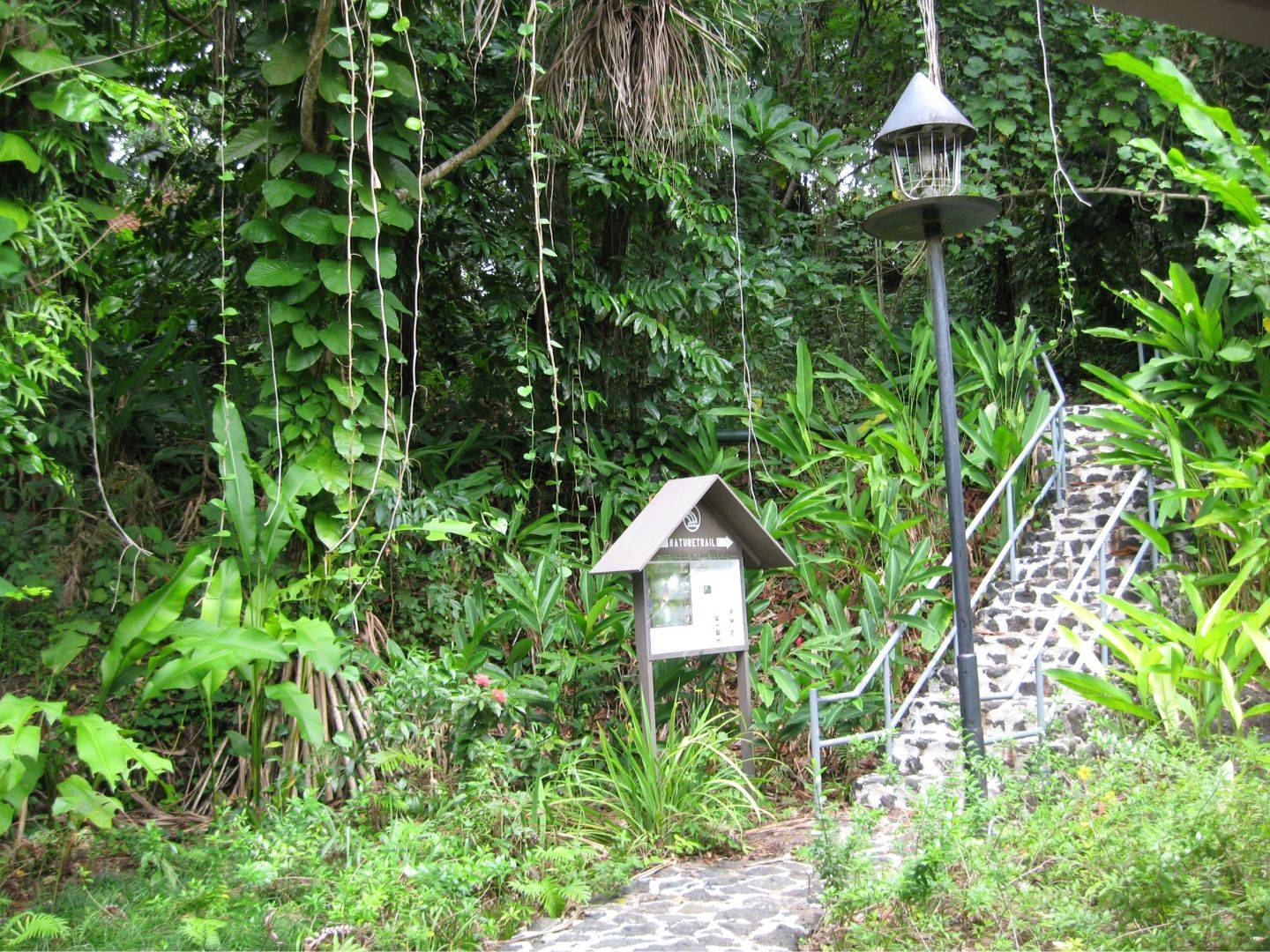 園區 Nature Trail 入口:石徑、木頂解說牌與通往密林的石階