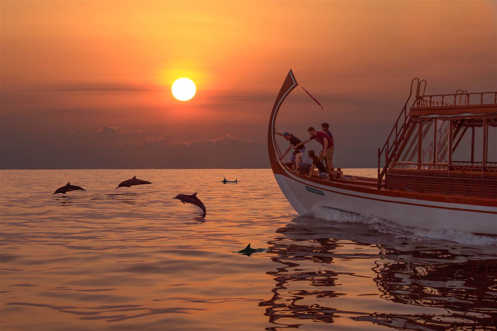 夕陽海面上的海豚與巡航船
