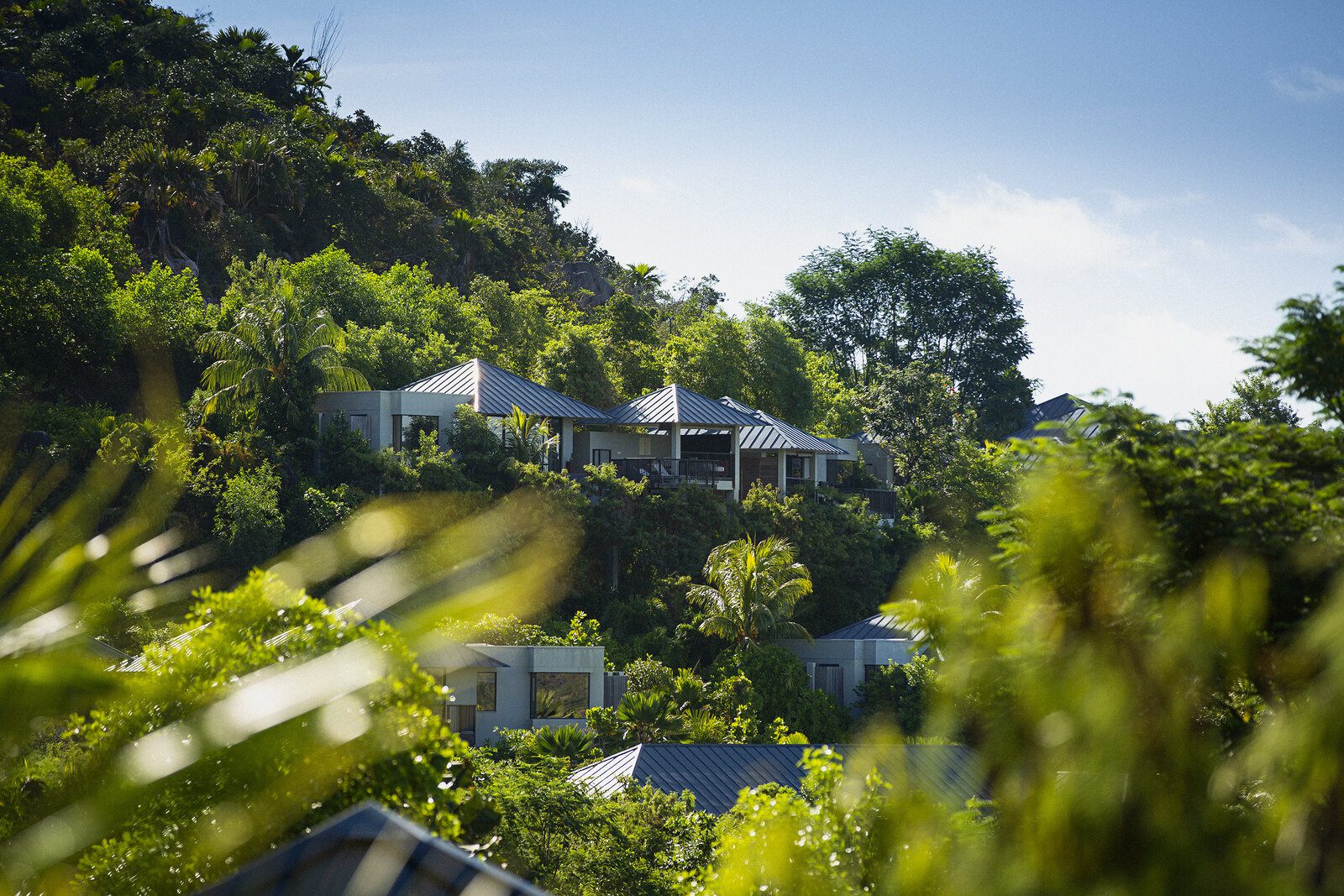 Raffles Seychelles 山坡私人泳池 villas 與熱帶樹林