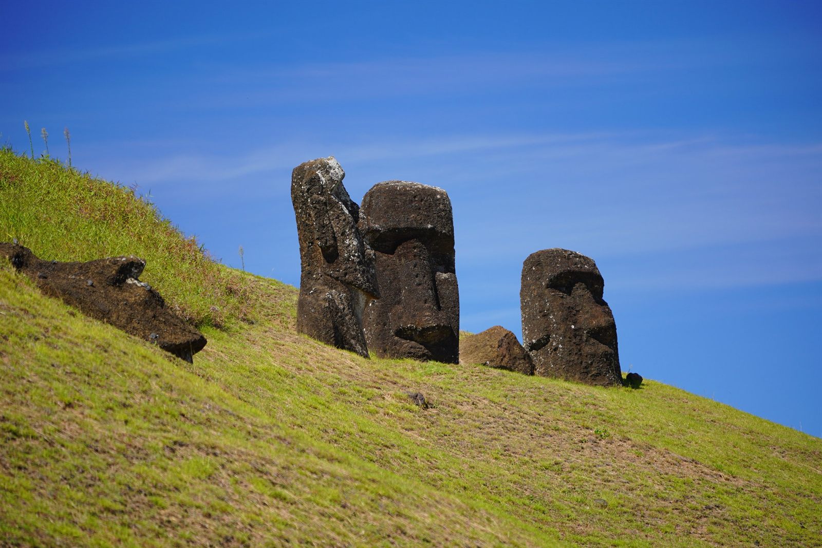 復活節島 Rano Raraku 火山採石場山坡上的摩艾石像